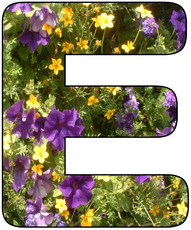 Deko-Buchstaben-Blumen_E.jpg